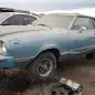 99 - 1977 Ford Mustang in Colorado Junkyard - Photo by Murilee Martin