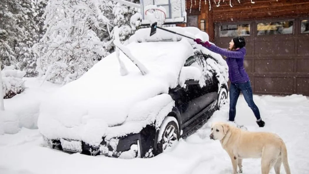 SnoShark Snow Removal Brush for Car