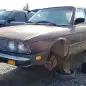 00 - 1984 BMW 528e in California junkyard - Photo by Murilee Martin