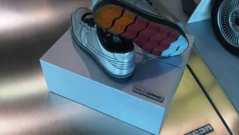 Nike Dunk 6.0 DeLorean Shoes
