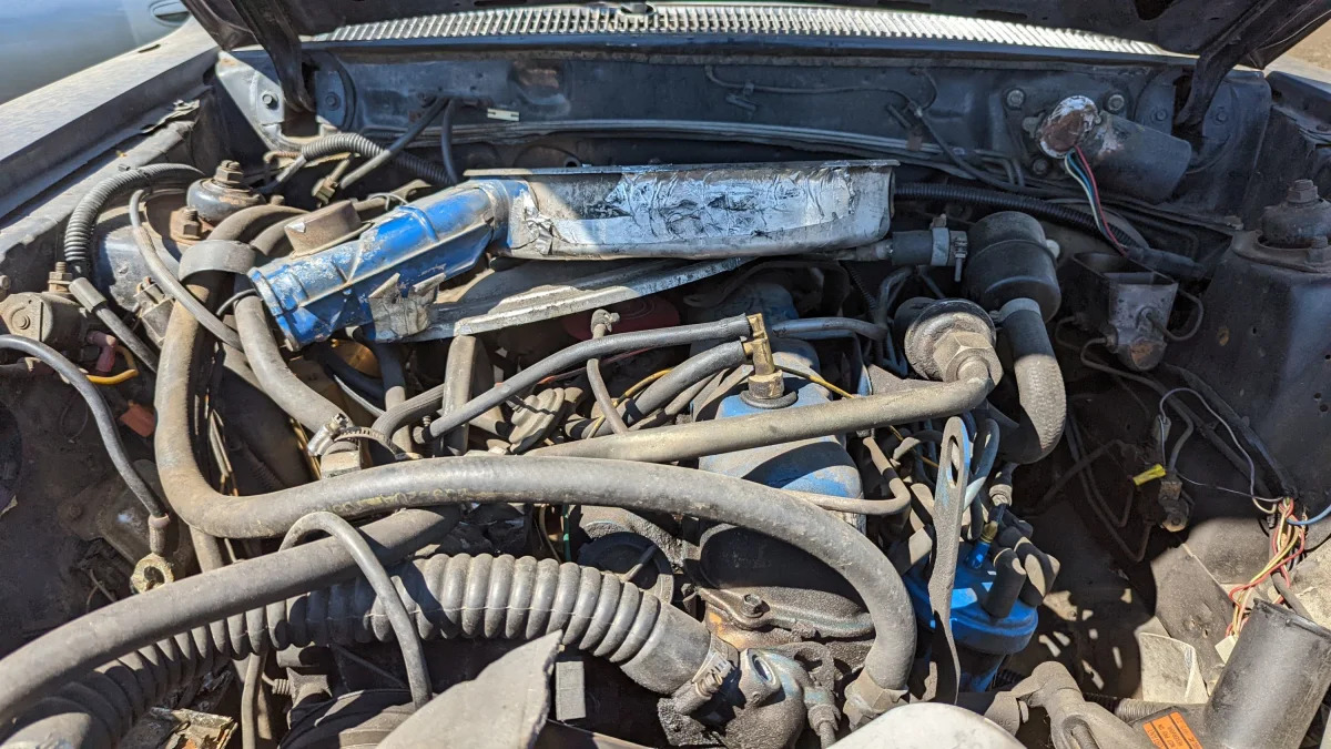 18 - 1979 Ford Fairmont Station Wagon in Colorado junkyard - Photo by Murilee Martin