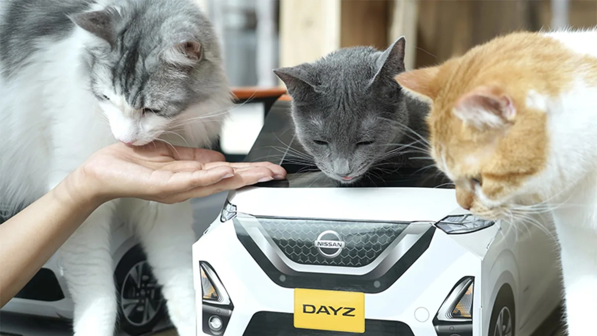 Nissan Dayz cat 12