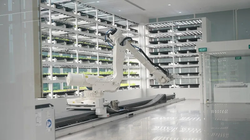 Hyundai’s factory of the future employs robot dogs, harvest vegetables