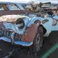 99 - 1960 Triumph TR3A in Colorado wrecking yard - photo by Murilee Martin