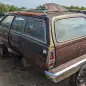 43 - 1977 Ford Pinto Station Wagon in Oklahoma junkyard - photo by Murilee Martin