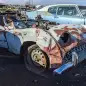 35 - 1960 Triumph TR3A in Colorado wrecking yard - photo by Murilee Martin