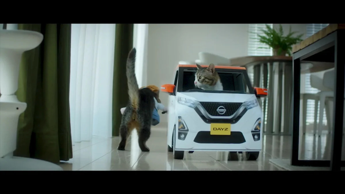 Nissan Dayz cat 05