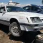 99 - 85 Ford Mustang GT in Colorado Junkyard - photograph by Murilee Martin