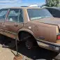 54 - 1988 Buick LeSabre in Colorado junkyard - Photo by Murilee Martin