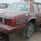 54 - 1981 Ford Mustang in Colorado junkyard - photo by Murilee Martin