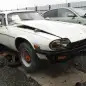 1977 Jaguar XJ-S in California wrecking yard