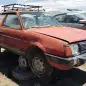 00 - 1980 Subaru in Colorado wrecking yard - photo by Murilee Martin