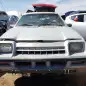 09 - 1983 Plymouth Scamp in Colorado Junkyard - photo by Murilee Martin