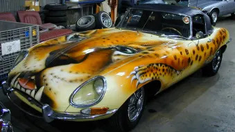 Jaguar painted Jaguar