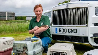Rolls-Royce's rescued ducks