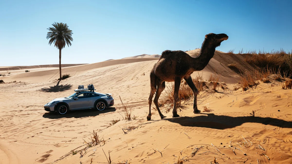 2023 Porsche 911 Dakar in Shade Green with camel