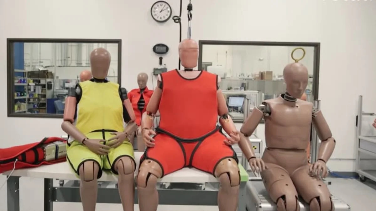 As America Gets Older And Heavier So Do Its Crash Test Dummies Autoblog