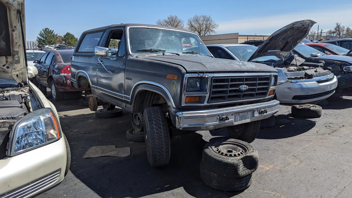 59 - 1983 Ford Bronco in Colorado junkyard - photo by Murilee Martin