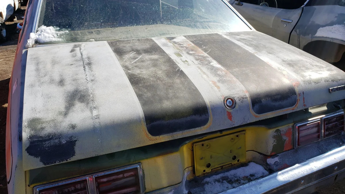 28 - 1979 Chevrolet Nova in Colorado junkyard - photo by Murilee Martin