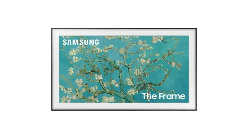 the frame