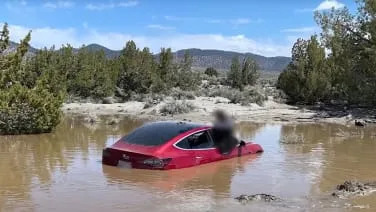 Tesla driver watches while FSD sends his Model 3 into a giant puddle