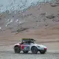 Porsche 911 Safari 8