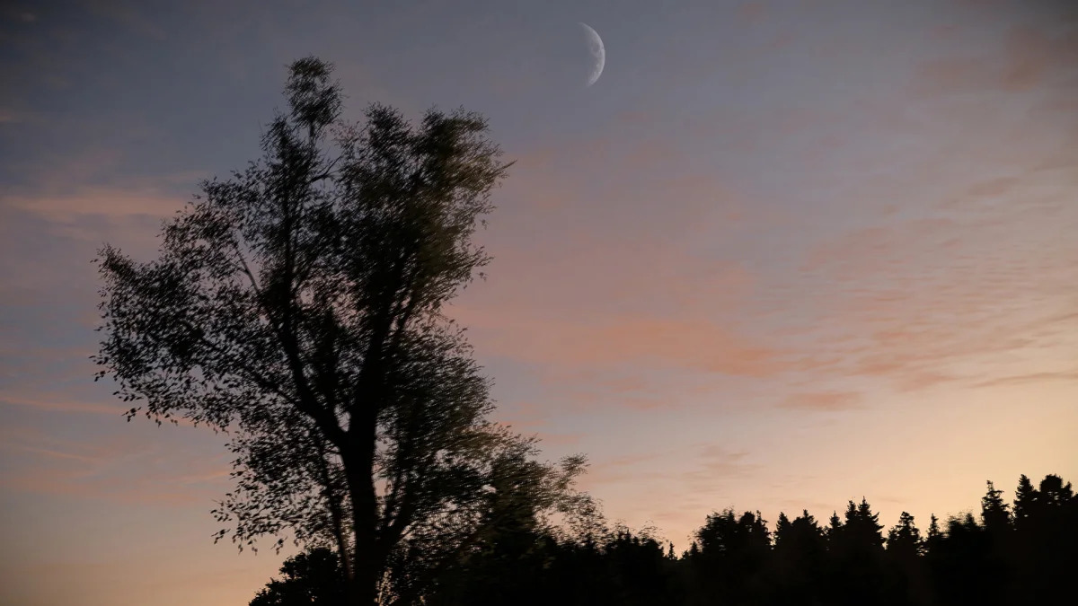 moon sunset project cars game scenery