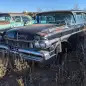 99 - 1957 Mercury Montclair Phaeton Sedan in Colorado junkyard - photo by Murilee Martin