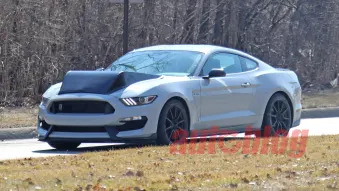 Ford Mustang Shelby GT350 mystery mule spy photos