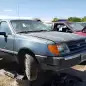 00 - 1985 Ford Tempo in Colorado junkyard - photo by Murilee Martin