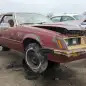 99 - 1981 Ford Mustang in Colorado junkyard - photo by Murilee Martin