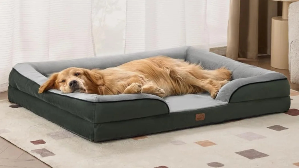 Bedsure Dog Bed