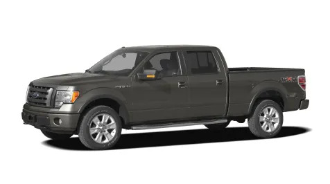 2009 Ford F-150 SuperCrew XL 4x2 Styleside 5.5 ft. box 145 in. WB