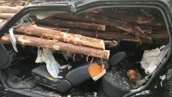 Logging truck accident