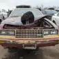 44 - 1981 Ford Mustang in Colorado junkyard - photo by Murilee Martin