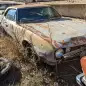 01 - 1967 Chevrolet Camaro in Colorado junkyard - photo by Murilee Martin