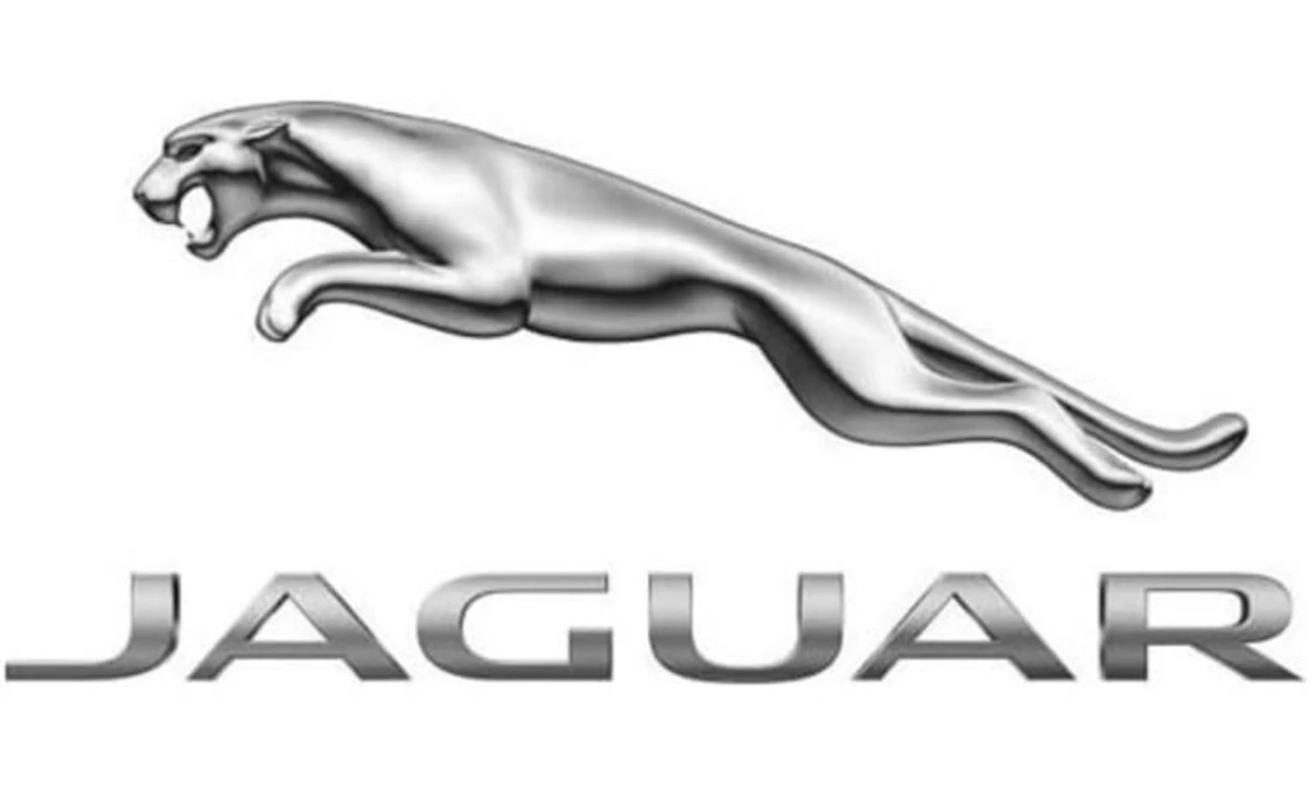 PHOTOS: Jaguars Get New Logo