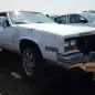 57 - 1981 Cadillac Eldorado in Colorado junkyard - Photo by Murilee Martin