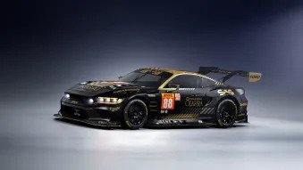 Ford Mustang GT3 race car liveries