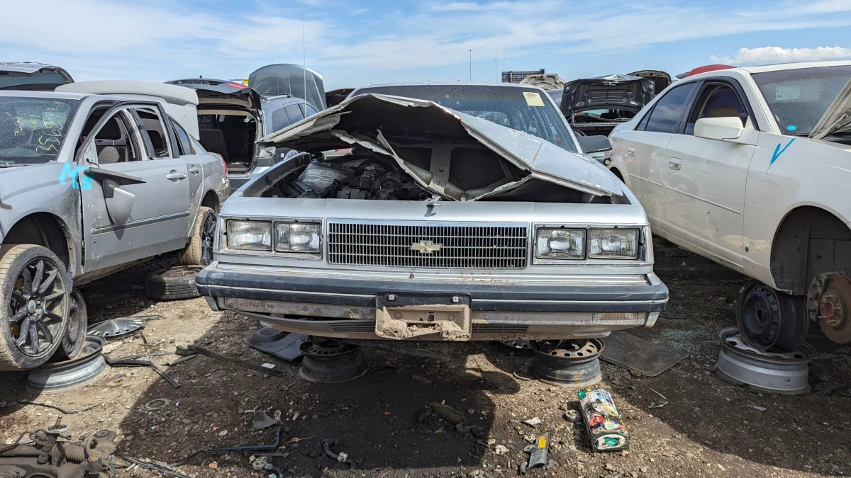 60 - 1986 Chevrolet Celebrity Station Wagon in Colorado wrecking yard - photo by Murilee Martin