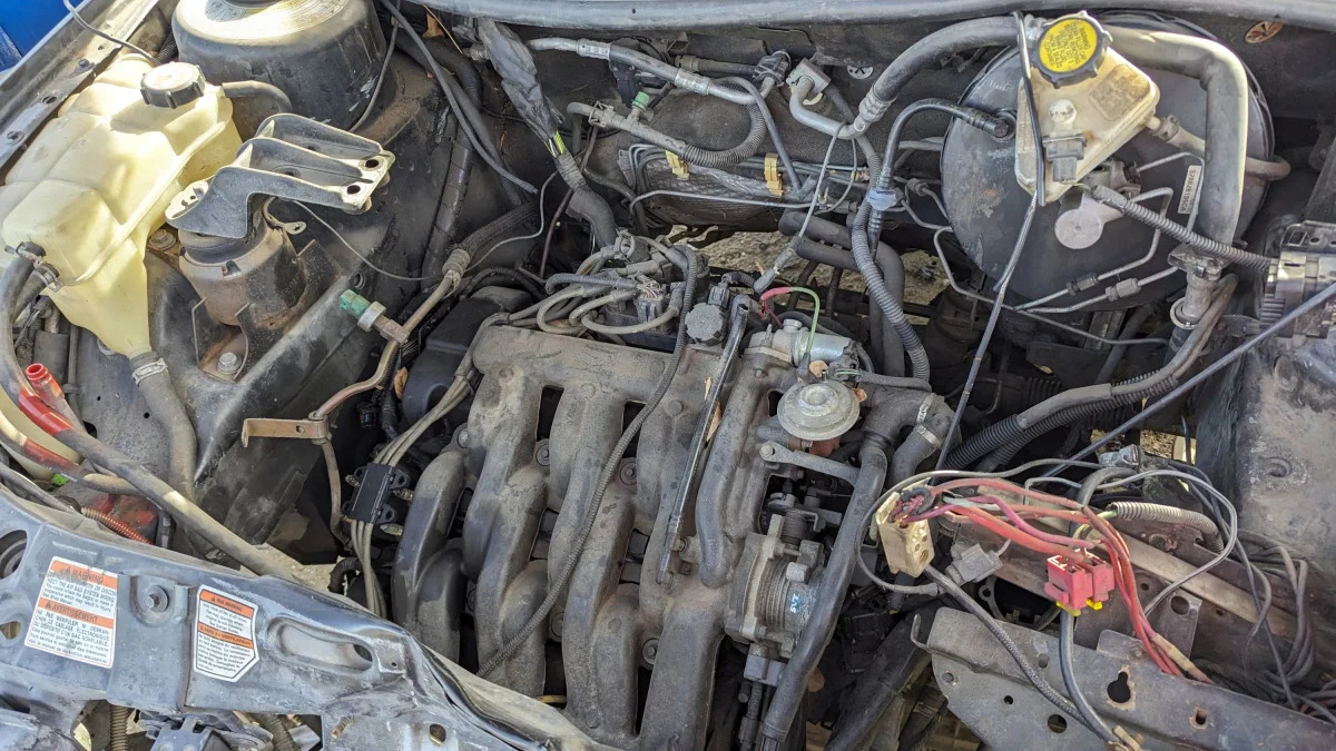 35 - 1998 Ford Contour SVT in Colorado junkyard - photo by Murilee Martin