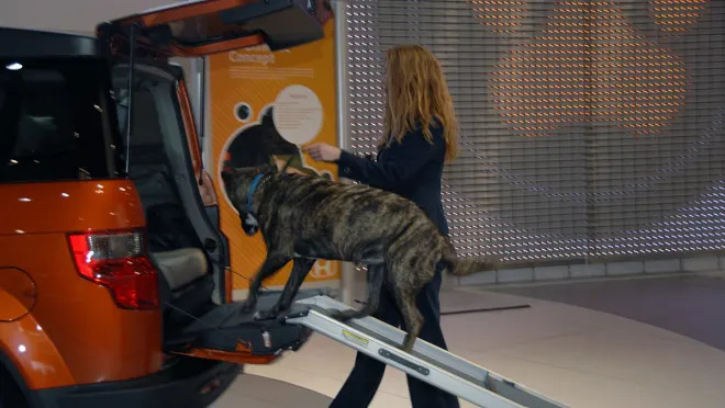 Honda's dog-friendly Element (video) - CNET