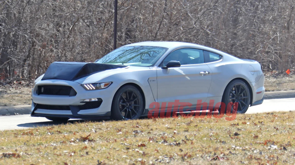 Ford Mustang Shelby GT350 mystery mule