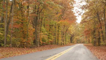 Five Scenic Road Trips For Seeing Autumn Colors