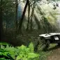 TIGER concept in forest