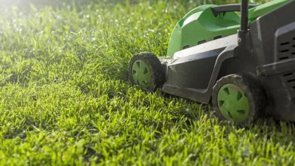 Best electric lawn mowers of 2024