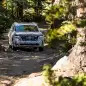 2023 Honda Pilot TrailSport front spying from the woods